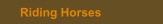 Riding Horses