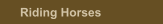 Riding Horses