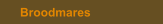 Broodmares