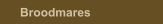 Broodmares